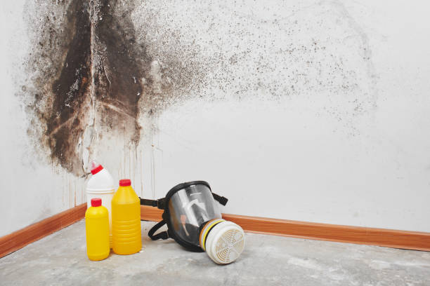 Best Crawl Space Mold Removal  in Shell Kno, MO