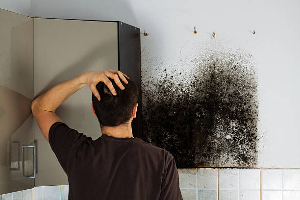 Best Mold Cleaning Services  in Shell Kno, MO